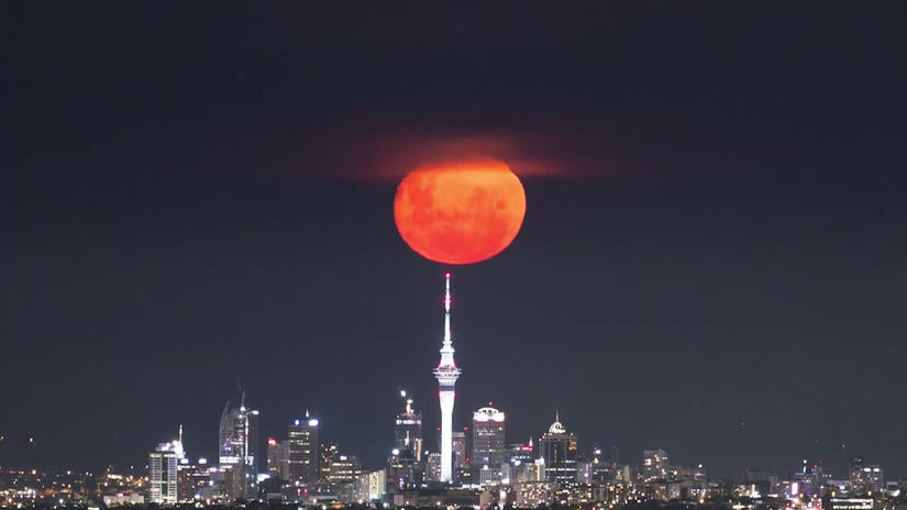 Blood Moon over Auckland